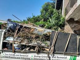 Best Demolition Debris Removal  in Waterville, MN