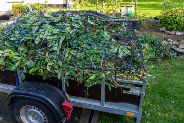 Best Residential Junk Removal  in Waterville, MN